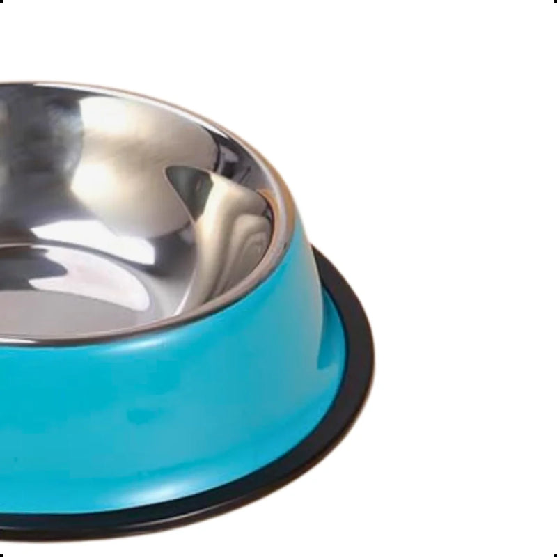 16 CM 200 ML Blue PP Cat Pet Dog Inox Bowl Pot